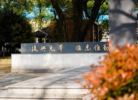 校园风光3
